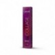 Lakme Collage Color 10/20 60 ml