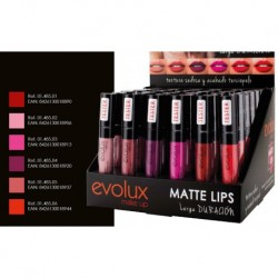 Labial Liquido Mate Evolux Nº1