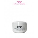 PORCELANA ROSA 30 G NSC