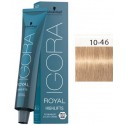 Tinte IGORA ROYAL TONOS NUDE 10-46 rubio platino beige chocolate 60ml