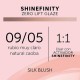 Shinefinity Zero Lift Glaze - Natural Silk Blush 09/05, 60ml