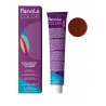 TINTE FANOLA COLOR 8.43 RUBIO CLARO COBRIZO DORADO 100ML