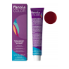 TINTE FANOLA COLOR 7.44 RUBIO COBRIZO INTENSO 100ML