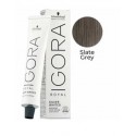 TINTE IGORA ROYAL  SLATE GREY 60ML