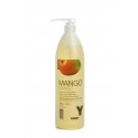 CHAMPU YUNSEY MANGO 1000ML