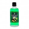 LOCION AFTER SHAVE GREEN MOSS Nº 9  HEY JOE 100ML