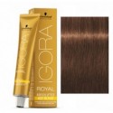 Tinte IGORA ROYAL ABSOLUTES age blend 6-460 Rubio Oscuro Beige Chocolate 60ml