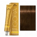 Tinte IGORA ROYAL ABSOLUTES 6-50 Rubio Oscuro Dorado Natural 60ml