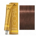 IGORA ROYAL ABSOLUTES 6-580 Runio Oscuro Dorado Rojo 60ml