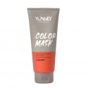 YUNSEY, COLOR MASK COPPER 200 ML