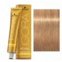 Tinte IGORA ROYAL ABSOLUTES 9-560 Rubio Muy Claro Dorado Chocolate 60ml