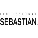 SEBASTIAN PROFESSIONAL